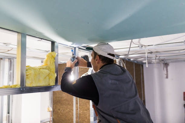 Best Insulation Contractors for Homes  in Mastic Beach, NY